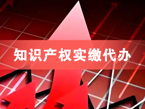 兴城知识产权实缴资本代办
